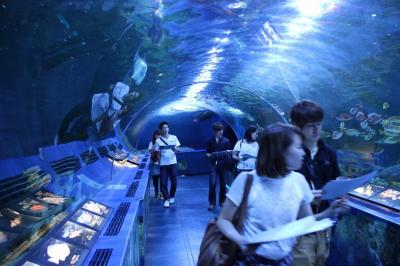 しながわ水族館